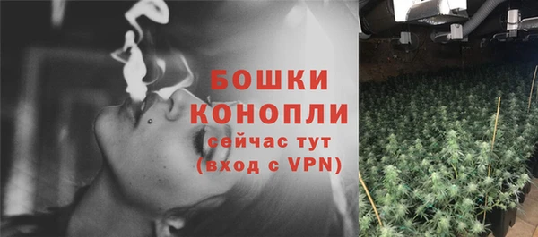 винт Богданович