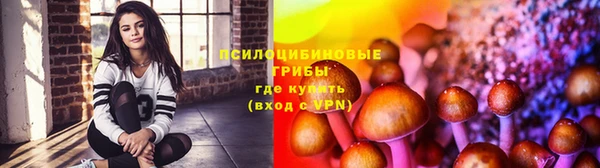 дмт Богородск