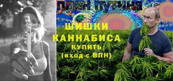 дмт Богородск