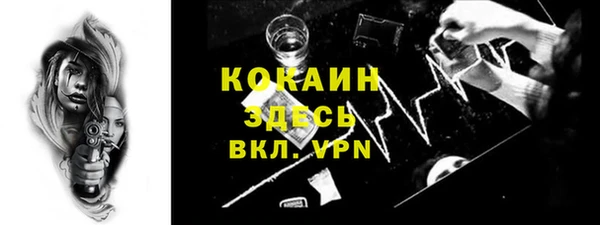 дмт Богородск