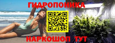 скорость Гусь-Хрустальный