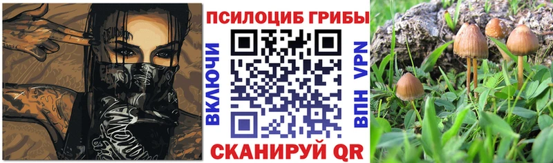 Галлюциногенные грибы прущие грибы  закладки  Можайск 