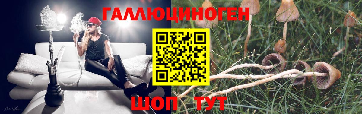 Галлюциногенные грибы прущие грибы Можайск
